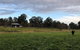 Bobbys Country Rental - thumb 5