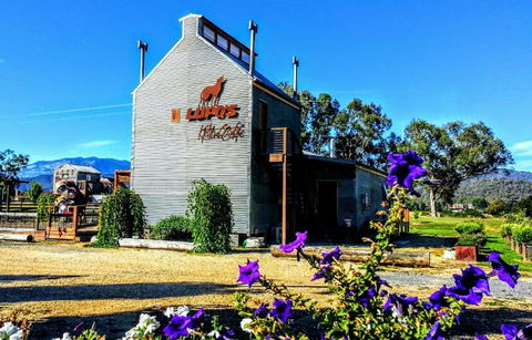 Lupoâ€™s Loft - Accommodation Ballina 2