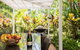 Port Douglas Mirage Villa 408 (4 BR) - thumb 4