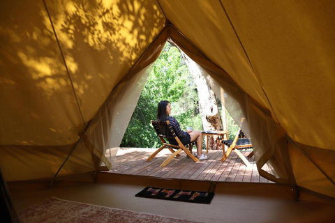 Castlemaine Gardens Luxury Glamping - Accommodation Ballina 6