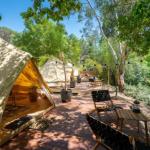 Castlemaine Gardens Luxury Glamping - Accommodation Ballina 0
