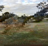 Young Budget Accommodation - Accommodation Ballina