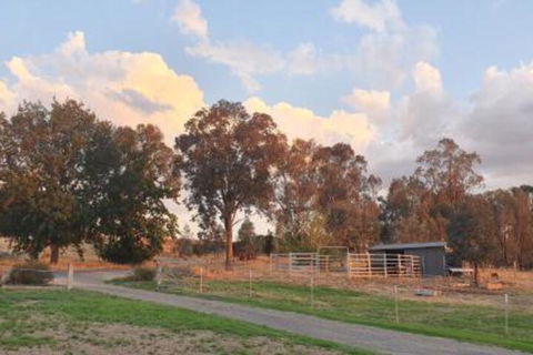 Hoof & Hound Country Escape - Accommodation Ballina 3