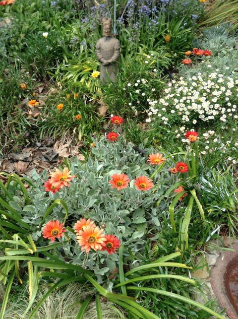 Adelaide Hills B & B Accommodation - Accommodation Ballina 2