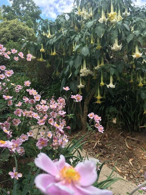 Adelaide Hills B & B Accommodation - Accommodation Ballina 6