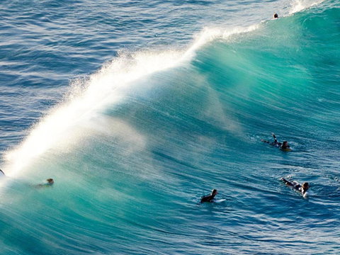 Carinya Gardens 15 - Accommodation Ballina 1