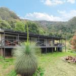 Cabbage Tree Farm Seclusion & Tranquillity! - Accommodation Ballina 0
