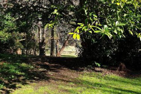 Redruth 2 Bedroom Cottage Situated In Wandiligong - Accommodation Ballina 4