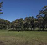 Championship Golf Course on your Back Door - Accommodation Ballina