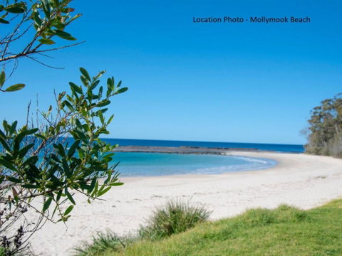 Tallwood Ave 77 Mollymook - Accommodation Ballina 3