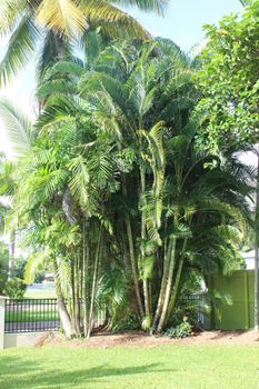 Yamacutta House - Accommodation Ballina 1