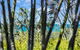 Nobs -1/44 Peregian Esplanade - thumb 1