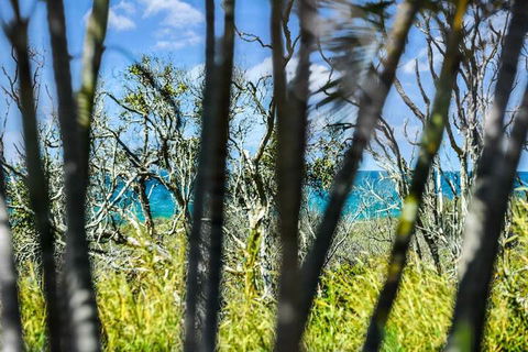 Nobs -1/44 Peregian Esplanade - Accommodation Ballina 1