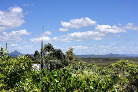 Piccolo Peregian - Pet Friendly- Peregian Beach, QLD - Accommodation Ballina 7