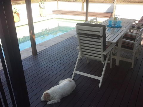 Minutes Walk To Peregian Beach & Surf! Unit 1 / 28 Pelican Street - Accommodation Ballina 1