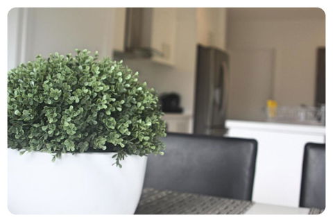 The Shae Luka Private Apartment - Accommodation Ballina 5