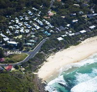 KENTIA - Accommodation Ballina