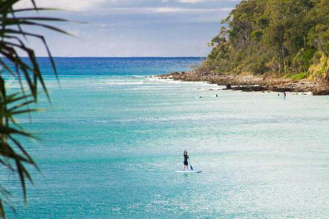 Noosa Court 6 - Accommodation Ballina 3