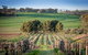 Lucys Cottage - thumb 4