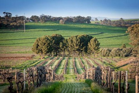 Lucys Cottage - Accommodation Ballina 4