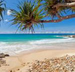 Coolum Classic Beach Shack Pet Friendly - Accommodation Ballina
