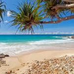 Coolum Classic Beach Shack Pet Friendly - Accommodation Ballina 0
