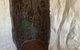 Di's Dugouts - thumb 5