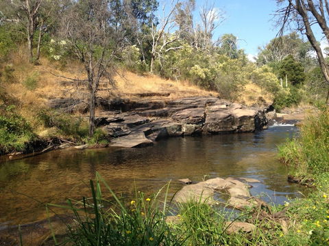 Kookas Cottage - Accommodation Ballina 3
