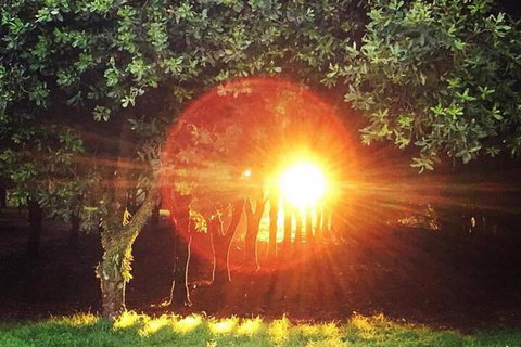 Glamping Byron Bay - Accommodation Ballina 7