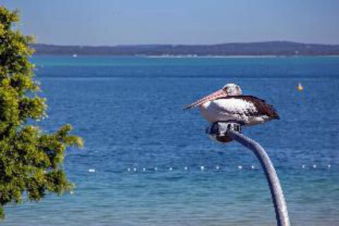 2 Bedroom Apartment Little Hut Unit 3 20 Kurrawa Close - Accommodation Ballina 2