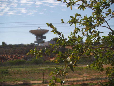 Tropical Farm Stay - Accommodation Ballina 4