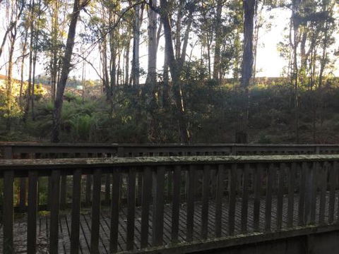 Harlea - Accommodation Ballina 1