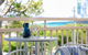 3 14 Edgar Bennett Avenue Noosa Hill - thumb 5
