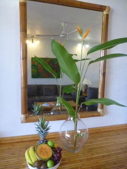 Port Douglas Penthouse Suite - Accommodation Ballina 2