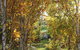 Magenta Cottage - thumb 1