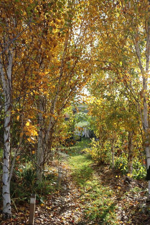 Magenta Cottage - Accommodation Ballina 1
