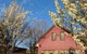 Magenta Cottage - thumb 0