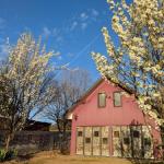 Magenta Cottage - Accommodation Ballina 0