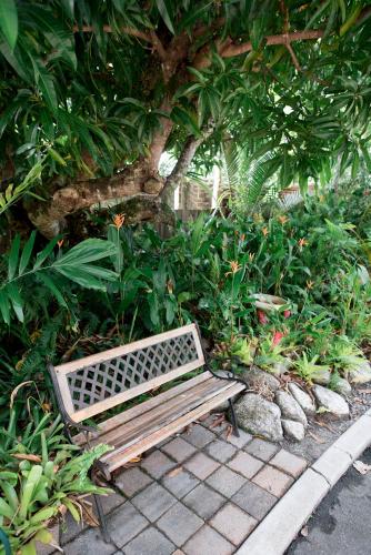 Mango Tree Private Apartments - Accommodation Ballina 4