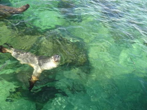 Acaciabnb - Accommodation Ballina 5