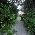 Balinese Beachfront Villa - Accommodation Ballina 0