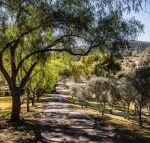 Capers Guesthouse Barn  Cottage - Accommodation Ballina