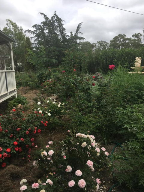 Saboâ€™s On Severn - Accommodation Ballina 3