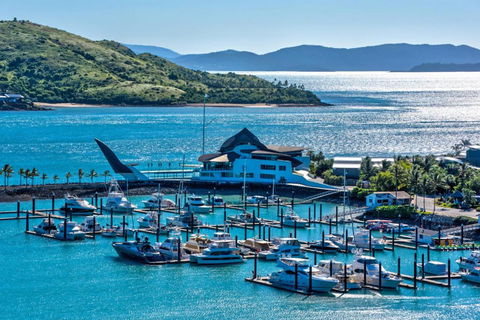 Uisce Luxury Holiday House With Jacuzzi Pool Table Cinema Premium Foxtel & Two Buggies - Accommodation Ballina 2