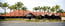 Nuriootpa Vine Inn Hotel Motel Ltd - Accommodation Ballina 0