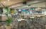 Nuriootpa Vine Inn Hotel Motel Ltd - thumb 4