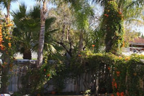Astoria Retreat B&B - Accommodation Ballina 6