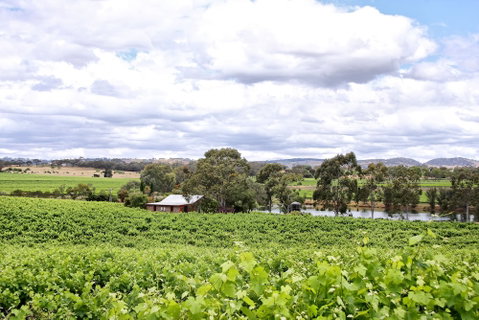 Stonewell Cottages & Vineyards - Accommodation Ballina 6