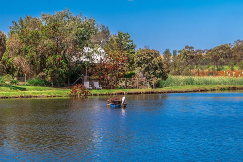 Stonewell Cottages & Vineyards - Accommodation Ballina 4
