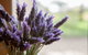 Stonewell Cottages & Vineyards - thumb 3